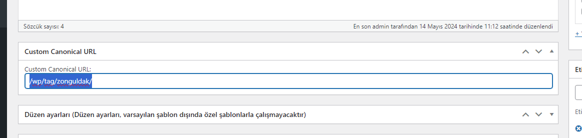 Wordpress Canonical Ayarları Eklentisi